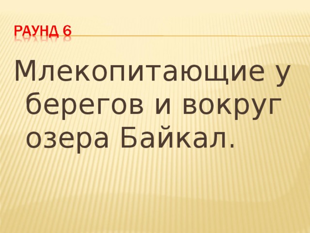 Млекопитающие у берегов и вокруг озера Байкал. 