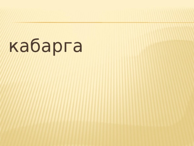 кабарга 