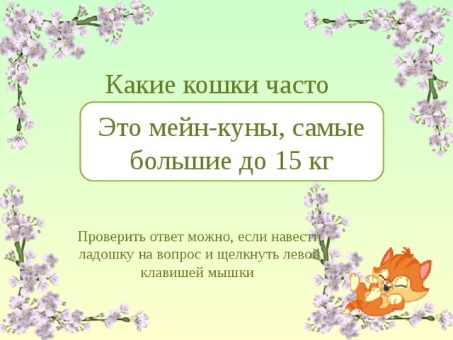 Какие кошки часто берут еду лапами, как еноты? Это мейн-куны, самые большие до 15 кг Проверить ответ можно, если навести ладошку на вопрос и щелкнуть левой клавишей мышки 