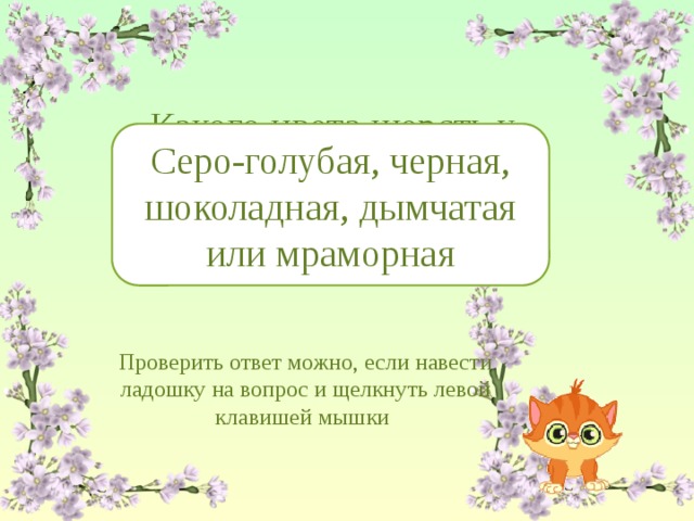 Какого цвета шерсть у британских кошек, похожих на плюшевых медвежат? Серо-голубая, черная, шоколадная, дымчатая или мраморная Проверить ответ можно, если навести ладошку на вопрос и щелкнуть левой клавишей мышки 