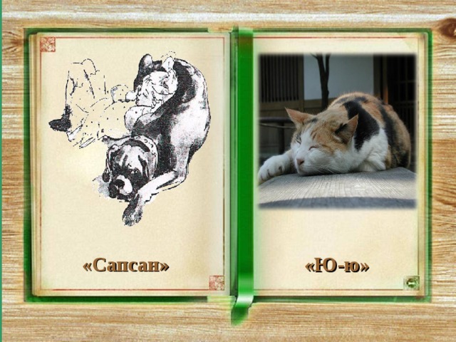    «Сапсан» «Ю-ю» 