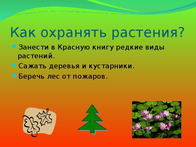 Как охранять растения? Занести в Красную книгу редкие виды растений. Сажать деревья и кустарники. Беречь лес от пожаров. 