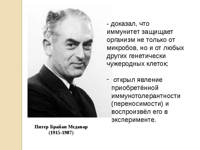 - доказал, что иммунитет защищает организм не только от микробов, но и от любых других генетически чужеродных клеток;  открыл явление приобретённой иммунотолерантности (переносимости) и воспроизвёл его в эксперименте. Питер Брайан Медавар (1915-1987) 