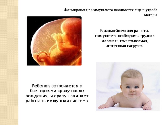 Формирование иммунитета начинается еще в утробе матери. В дальнейшем для развития иммунитета необходимы грудное молоко и, так называемая, антигенная нагрузка. Ребенок встречается с бактериями сразу после рождения, и сразу начинает работать иммунная система 