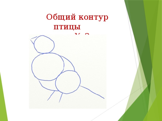  Общий контур птицы  рис.№ 2 
