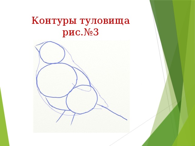 Контуры туловища  рис.№3 