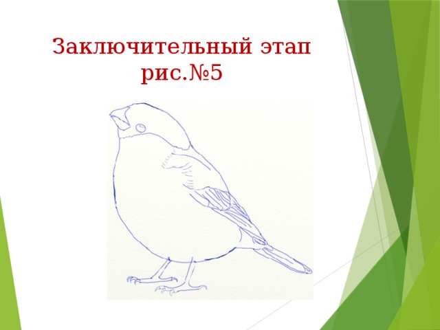 Заключительный этап  рис.№5 