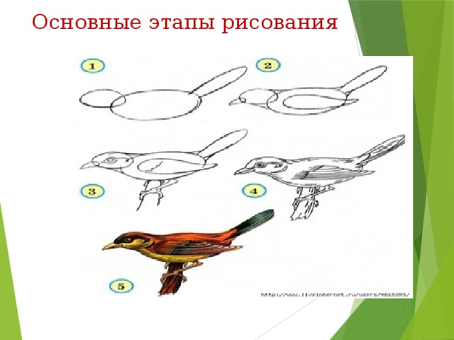 Основные этапы рисования 