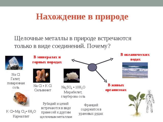 Нахождение в природе Щелочные металлы в природе встречаются только в виде соединений. Почему? В океанических  водах В минералах и горных породах Na Cl Галит, поваренная соль В живых организмах Na Cl • K Cl Сильвинит Na 2 SO 4 • 10H 2 O Мирабилит, глауберова соль Рубидий и цезий встречаются в виде примесей к другим щелочным металлам Франций содержится в урановых рудах K Cl• Mg Cl 2 • 6H 2 O Карналлит  
