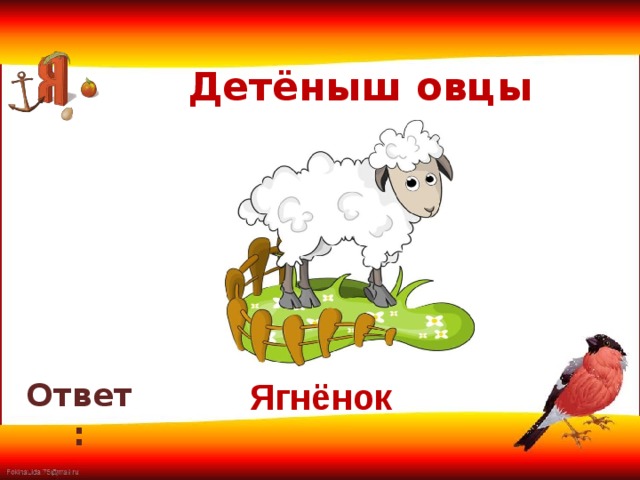 Детёныш овцы     Ответ: Ягнёнок