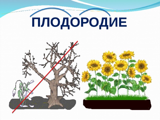 ПЛОДОРОДИЕ 