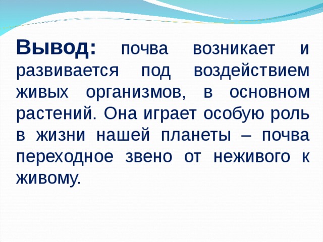 Вывод: почва возникает и развивается под воздействием живых организмов, в основном растений. Она играет особую роль в жизни нашей планеты – почва переходное звено от неживого к живому. 