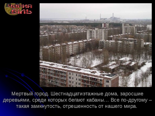 Мертвый город. Шестнадцатиэтажные дома, заросшие деревьями, среди которых бегают кабаны… Все по-другому – такая замкнутость, отрешенность от нашего мира. 