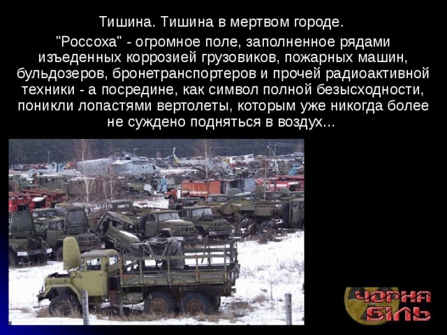 Тишина. Тишина в мертвом городе. 