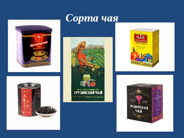 Сорта чая 