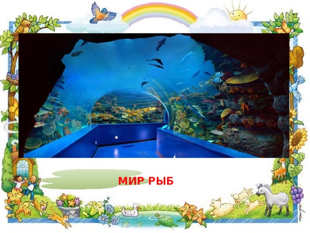 мир Рыб 