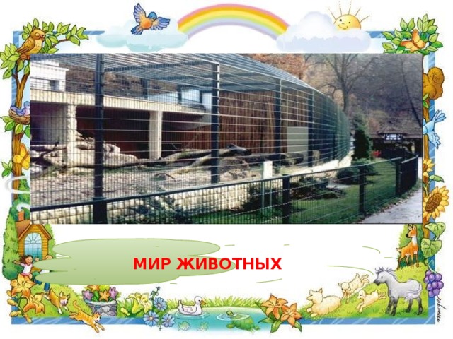 Мир животных 