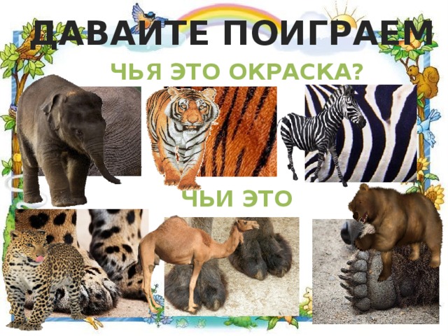 ДАВАЙТЕ ПОИГРАЕМ ЧЬЯ ЭТО ОКРАСКА? ЧЬИ ЭТО ЛАПЫ? 