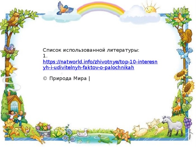 Список использованной литературы: 1.   https://natworld.info/zhivotnye/top-10-interesnyh-i-udivitelnyh-faktov-o-palochnikah  © Природа Мира | 
