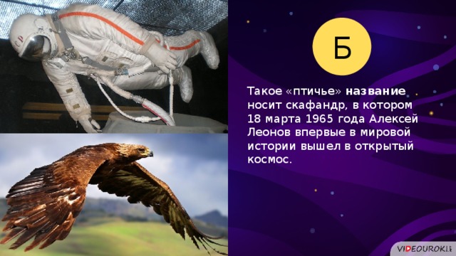 Б Такое «птичье» название   носит скафандр, в котором 18 марта 1965 года Алексей Леонов впервые в мировой истории вышел в открытый космос.  