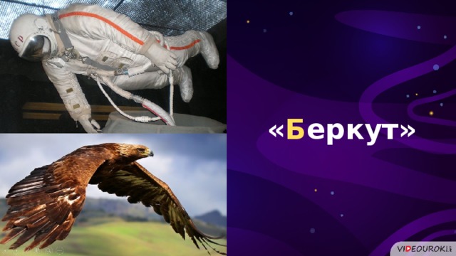 « Б еркут»  