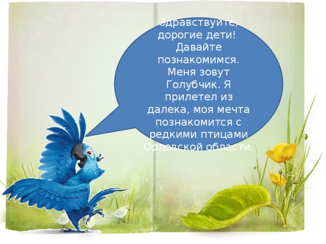 Здравствуйте, дорогие дети! Давайте познакомимся. Меня зовут Голубчик. Я прилетел из далека, моя мечта познакомится с редкими птицами Орловской области. 