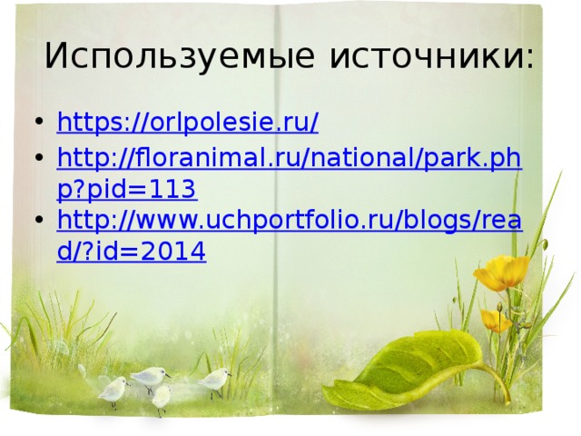 Используемые источники: https://orlpolesie.ru/ http://floranimal.ru/national/park.php?pid=113 http://www.uchportfolio.ru/blogs/read/?id=2014 