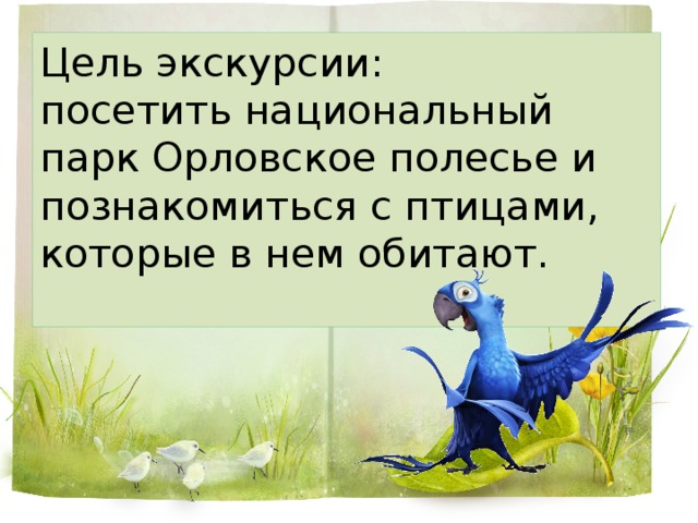 Цель экскурсии:  посетить национальный парк Орловское полесье и познакомиться с птицами, которые в нем обитают.   