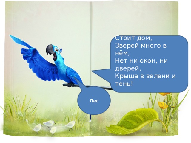 Стоит дом,  Зверей много в нём,  Нет ни окон, ни дверей,  Крыша в зелени и тень!   Лес 