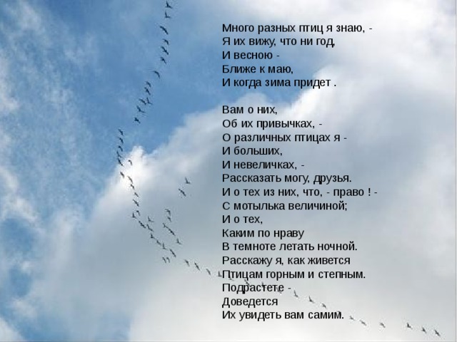 Много разных птиц я знаю, - Я их вижу, что ни год, И весною - Ближе к маю, И когда зима придет .     Вам о них, Об их привычках, - О различных птицах я - И больших, И невеличках, - Рассказать могу, друзья.  И о тех из них, что, - право ! - С мотылька величиной; И о тех, Каким по нраву В темноте летать ночной.   Расскажу я, как живется Птицам горным и степным. Подрастете - Доведется Их увидеть вам самим.  