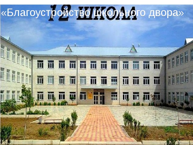 «Благоустройство школьного двора» 
