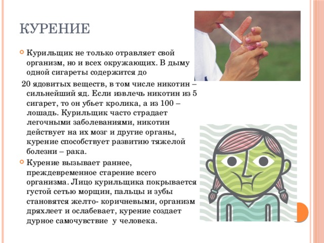 курение Курильщик не только отравляет свой организм, но и всех окружающих. В дыму одной сигареты содержится до  20 ядовитых веществ, в том числе никотин – сильнейший яд. Если извлечь никотин из 5 сигарет, то он убьет кролика, а из 100 – лошадь. Курильщик часто страдает легочными заболеваниями, никотин действует на их мозг и другие органы, курение способствует развитию тяжелой болезни – рака. Курение вызывает раннее, преждевременное старение всего организма. Лицо курильщика покрывается густой сетью морщин, пальцы и зубы становятся желто- коричневыми, организм дряхлеет и ослабевает, курение создает дурное самочувствие у человека. 