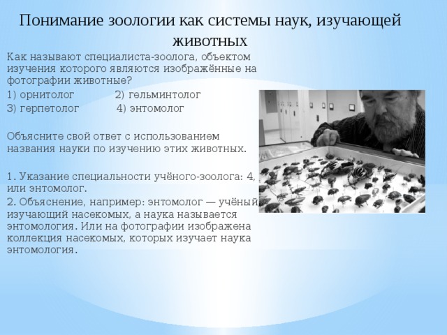 Понимание зоологии как системы наук, изучающей животных Как называют специалиста-зоолога, объектом изучения которого являются изображённые на фотографии животные? 1) орнитолог 2) гельминтолог 3) герпетолог 4) энтомолог Объясните свой ответ с использованием названия науки по изучению этих животных. 1. Указание специальности учёного-зоолога: 4, или энтомолог. 2. Объяснение, например: энтомолог — учёный, изучающий насекомых, а наука называется энтомология. Или на фотографии изображена коллекция насекомых, которых изучает наука энтомология. 