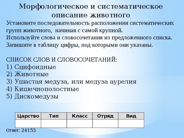 Морфологическое и систематическое описание животного Установите последовательность расположения систематических групп животного, начиная с самой крупной. Используйте слова и словосочетания из предложенного списка. Запишите в таблицу цифры, под которыми они указаны.   СПИСОК СЛОВ И СЛОВОСОЧЕТАНИЙ: 1) Сцифоидные 2) Животные 3) Ушастая медуза, или медуза аурелия 4) Кишечнополостные 5) Дискомедузы Ответ: 24153 Царство Тип Класс Отряд Вид 