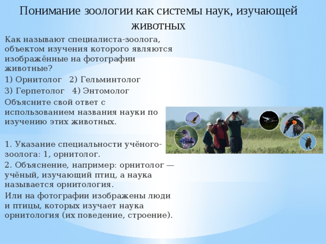 Понимание зоологии как системы наук, изучающей животных Как называют специалиста-зоолога, объектом изучения которого являются изображённые на фотографии животные? 1) Орнитолог 2) Гельминтолог 3) Герпетолог 4) Энтомолог Объясните свой ответ с использованием названия науки по изучению этих животных. 1. Указание специальности учёного-зоолога: 1, орнитолог. 2. Объяснение, например: орнитолог — учёный, изучающий птиц, а наука называется орнитология. Или на фотографии изображены люди и птицы, которых изучает наука орнитология (их поведение, строение). 