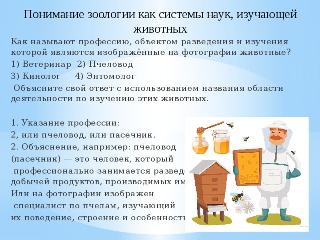 Понимание зоологии как системы наук, изучающей животных Как называют профессию, объектом разведения и изучения которой являются изображённые на фотографии животные? 1) Ветеринар 2) Пчеловод 3) Кинолог 4) Энтомолог   Объясните свой ответ с использованием названия области деятельности по изучению этих животных. 1. Указание профессии: 2, или пчеловод, или пасечник. 2. Объяснение, например: пчеловод (пасечник) — это человек, который  профессионально занимается разведением пчел, а также добычей продуктов, производимых ими. Или на фотографии изображен  специалист по пчелам, изучающий их поведение, строение и особенности. 