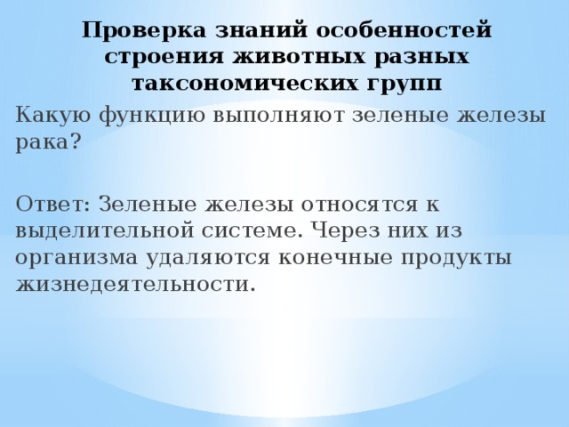 Проверка знаний особенностей строения животных разных таксономических групп Какую функцию выполняют зеленые железы рака? Ответ: Зеленые железы относятся к выделительной системе. Через них из организма удаляются конечные продукты жизнедеятельности. 