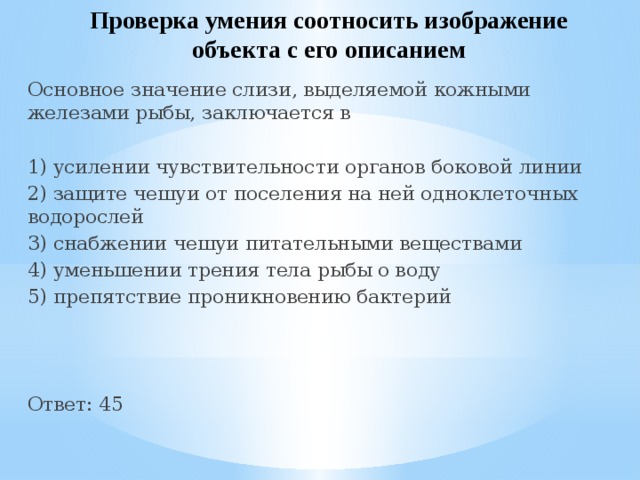 Проверка умения соотносить изображение объекта с его описанием Основное значение слизи, выделяемой кожными железами рыбы, заключается в 1) усилении чувствительности органов боковой линии 2) защите чешуи от поселения на ней одноклеточных водорослей 3) снабжении чешуи питательными веществами 4) уменьшении трения тела рыбы о воду 5) препятствие проникновению бактерий Ответ: 45 