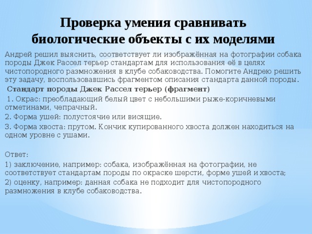 Проверка умения сравнивать биологические объекты с их моделями Андрей решил выяснить, соответствует ли изображённая на фотографии собака породы Джек Рассел терьер стандартам для использования её в целях чистопородного размножения в клубе собаководства. Помогите Андрею решить эту задачу, воспользовавшись фрагментом описания стандарта данной породы.   Стандарт породы Джек Рассел терьер (фрагмент)   1. Окрас: преобладающий белый цвет с небольшими рыже-коричневыми отметинами, чепрачный. 2. Форма ушей: полустоячие или висящие. 3. Форма хвоста: прутом. Кончик купированного хвоста должен находиться на одном уровне с ушами. Ответ: 1) заключение, например: собака, изображённая на фотографии, не соответствует стандартам породы по окраске шерсти, форме ушей и хвоста; 2) оценку, например: данная собака не подходит для чистопородного размножения в клубе собаководства. 