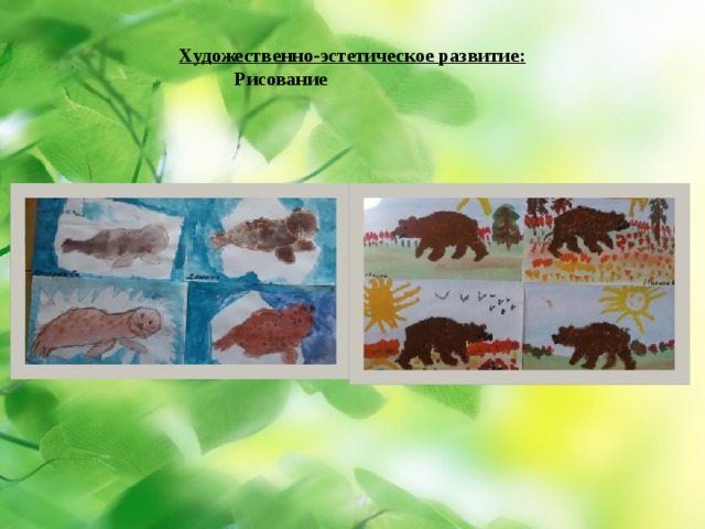 Художественно-эстетическое развитие:  Рисование 