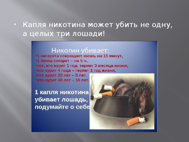 Капля никотина может убить не одну, а целых три лошади! 