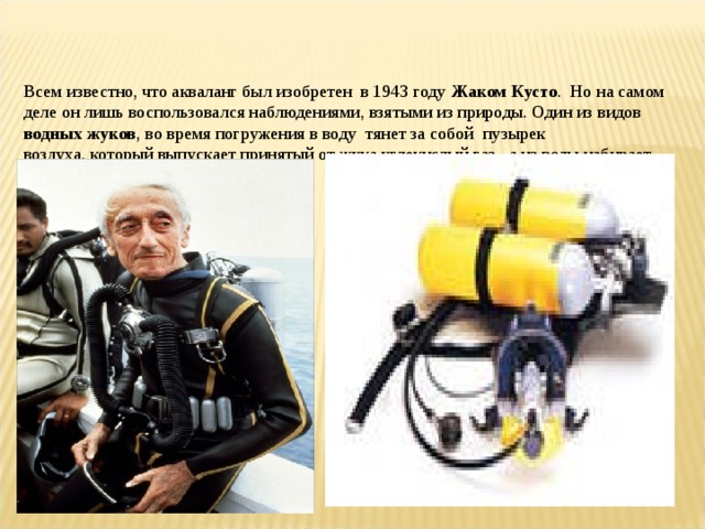   Всем известно, что акваланг был изобретен  в 1943 году Жаком Кусто .  Но на самом деле он лишь воспользовался наблюдениями, взятыми из природы. Один из видов водных жуков , во время погружения в воду  тянет за собой  пузырек воздуха, который выпускает принятый от жука углекислый газ, а из воды набирает кислород . 