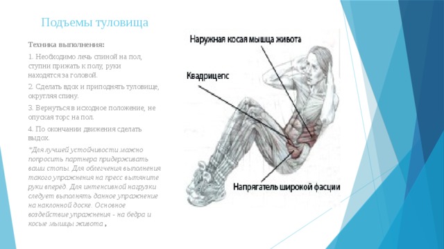 Подъемы туловища   Техника выполнения:  1. Необходимо лечь спиной на пол, ступни прижать к полу, руки находятся за головой. 2. Сделать вдох и приподнять туловище, округляя спину. 3. Вернуться в исходное положение, не опуская торс на пол. 4. По окончании движения сделать выдох. *Для лучшей устойчивости можно попросить партнера придерживать ваши стопы. Для облегчения выполнения такого упражнения на пресс вытяните руки вперёд. Для интенсивной нагрузки следует выполнять данное упражнение на наклонной доске. Основное воздействие упражнения - на бедра и косые мышцы живота  , 