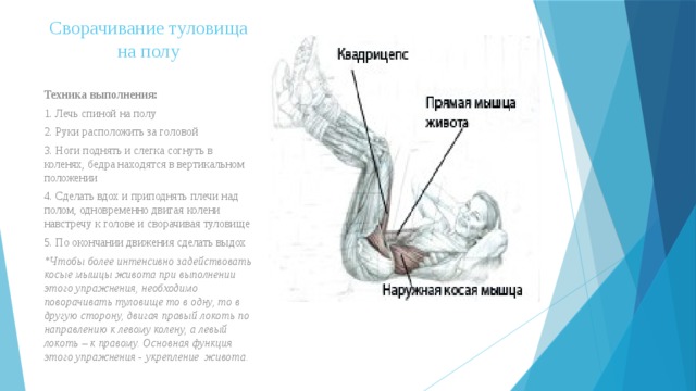 Cворачивание туловища на полу   Техника выполнения:  1. Лечь спиной на полу 2. Руки расположить за головой 3. Ноги поднять и слегка согнуть в коленях, бедра находятся в вертикальном положении 4. Сделать вдох и приподнять плечи над полом, одновременно двигая колени навстречу к голове и сворачивая туловище 5. По окончании движения сделать выдох *Чтобы более интенсивно задействовать косые мышцы живота при выполнении этого упражнения, необходимо поворачивать туловище то в одну, то в другую сторону, двигая правый локоть по направлению к левому колену, а левый локоть – к правому. Основная функция этого упражнения - укрепление  живота. 