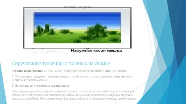 Вставка рисунка Скручивание туловища с голенью на скамье   Техника выполнения:  1. Лечь на пол, голени расположить на скамье, руки за головой. 2. Сделать вдох и поднять туловище вверх, отрывая плечи от пола, округляя спину, пытаясь коснуться головой коленей. 3. По окончании упражнения сделать выдох *Если туловище расположить дальше от скамьи, то это позволит легче осуществлять его подъем за счёт сокращения подвздошно-поясничных мышц, напрягателя широкой фасции и прямых мышц бёдер. Это упражнение для пресса идеально подходит мужчинам и женщинам. 