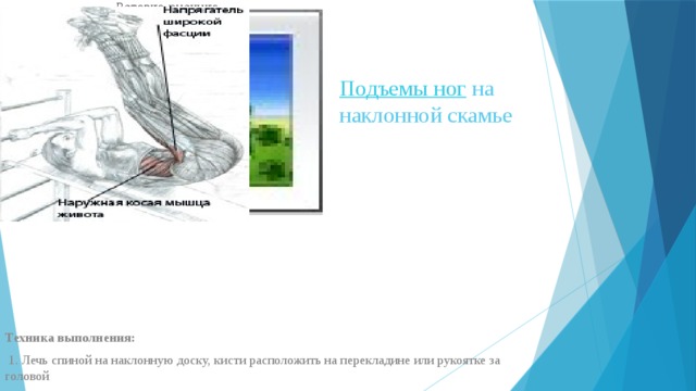 Вставка рисунка Подъемы ног  на наклонной скамье   Техника выполнения:   1. Лечь спиной на наклонную доску, кисти расположить на перекладине или рукоятке за головой 2. Поднять ноги до вертикального положения, затем приподнять таз и попытаться свернуть туловище так, чтобы голова коснулась коленей.  *На первом этапе, когда вы поднимаете колени, в работу вовлекаются подвздошно-поясничные мышцы, напрягатели широких фасций и прямые мышцы бедра. На втором этапе, когда вы приподнимаете таз и сворачиваете туловище, в работу вовлекаются также мышцы живота, главным образом верхние части прямых мышц 