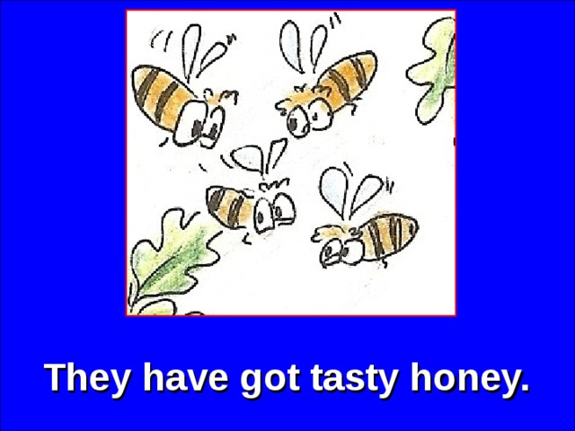 They have got tasty honey. 