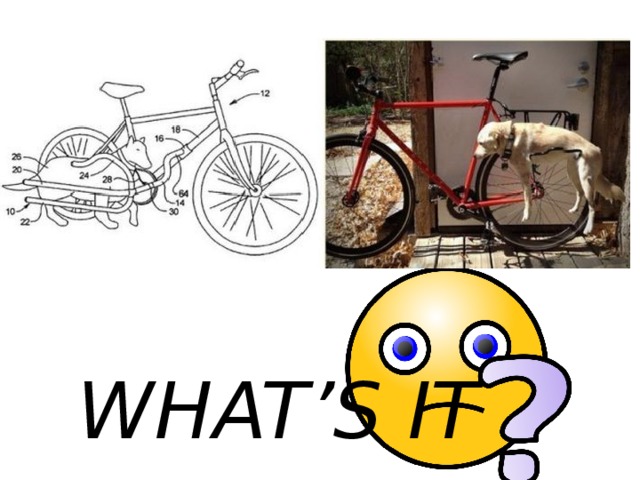 WHAT’S IT 