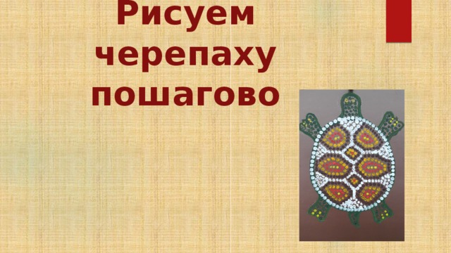 Рисуем черепаху пошагово 