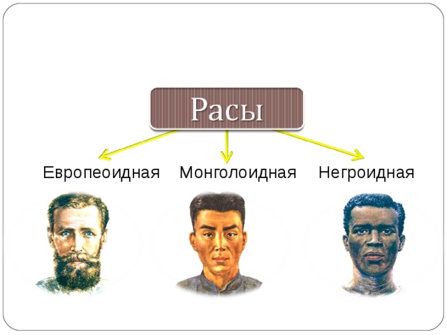 Европеоидная Монголоидная Негроидная